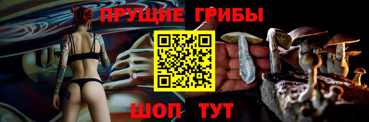 Псилоцибиновые грибы GOLDEN TEACHER  Вход с VPN  Севастополь 